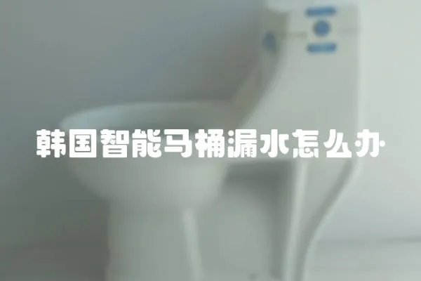 韓國智能馬桶漏水怎么辦