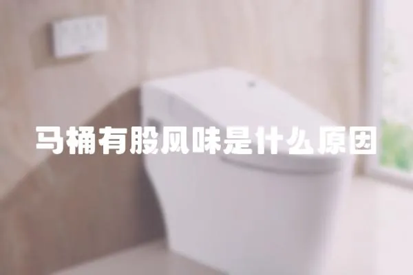馬桶有股風味是什么原因