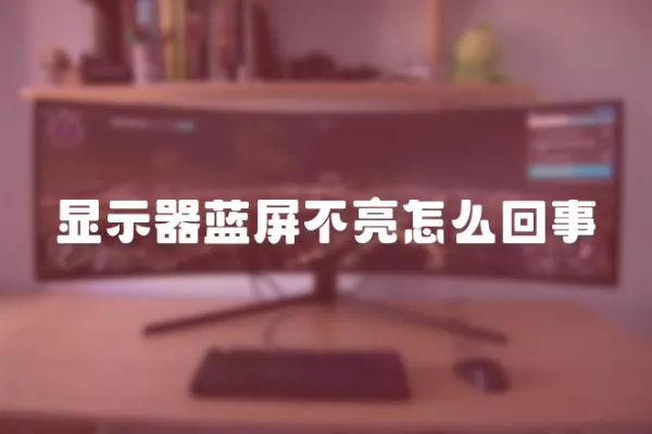 顯示器藍屏不亮怎么回事