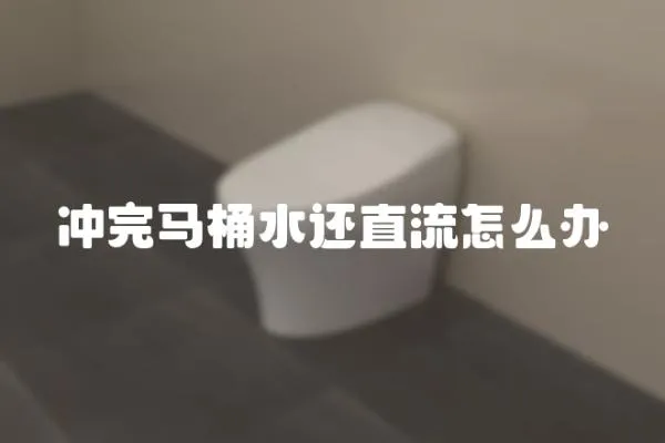 沖完馬桶水還直流怎么辦