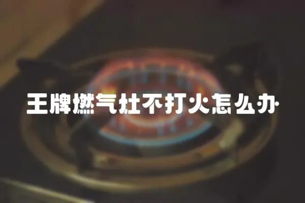 王牌燃氣灶不打火怎么辦