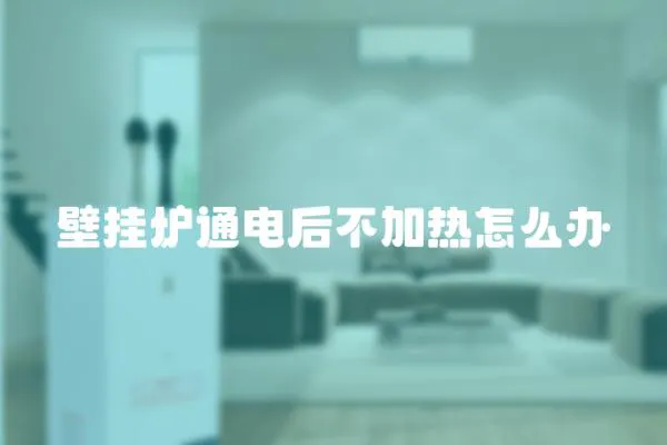 壁掛爐通電后不加熱怎么辦