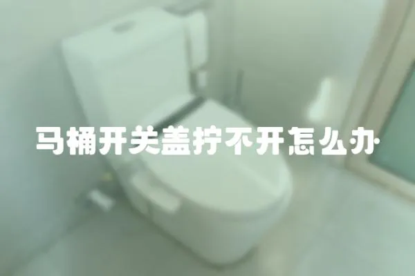 馬桶開關(guān)蓋擰不開怎么辦