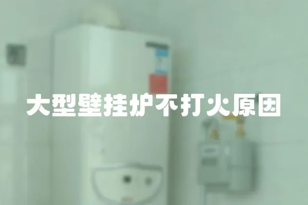 大型壁掛爐不打火原因
