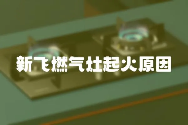 新飛燃?xì)庠钇鸹鹪?></a></div>
                    <div   id=