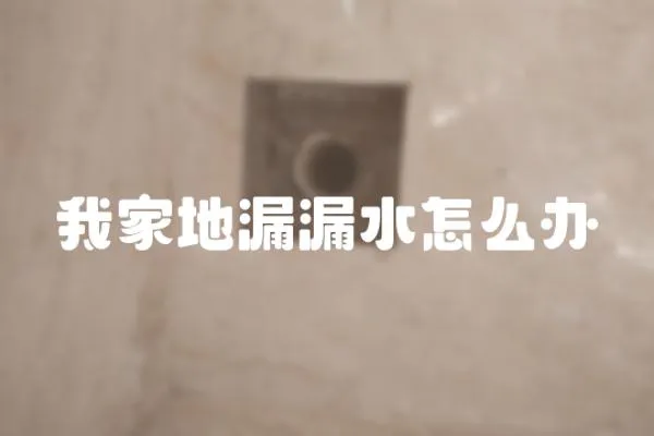 我家地漏漏水怎么辦