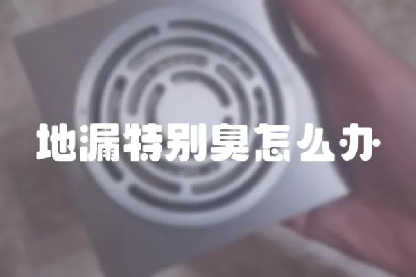 地漏特別臭怎么辦