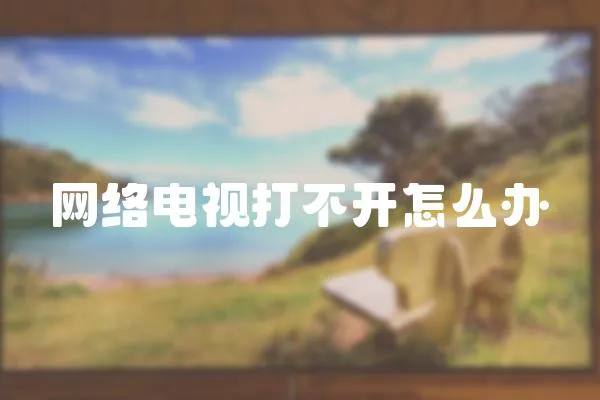 網絡電視打不開怎么辦
