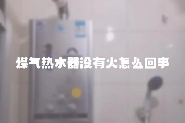 煤氣熱水器沒有火怎么回事