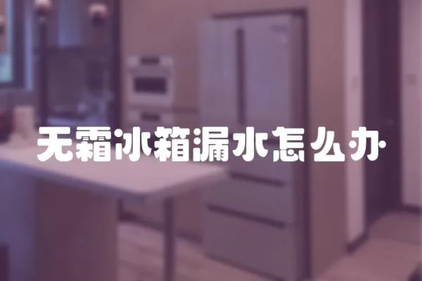 無霜冰箱漏水怎么辦