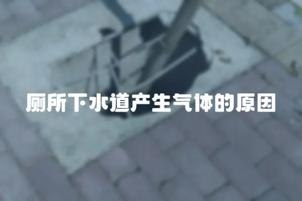 廁所下水道產生氣體的原因