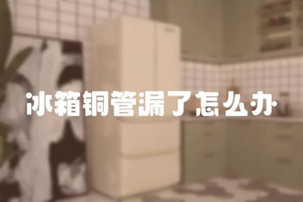 冰箱銅管漏了怎么辦