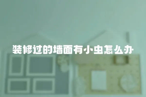 裝修過的墻面有小蟲怎么辦