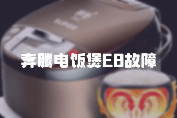 奔騰電飯煲E8故障