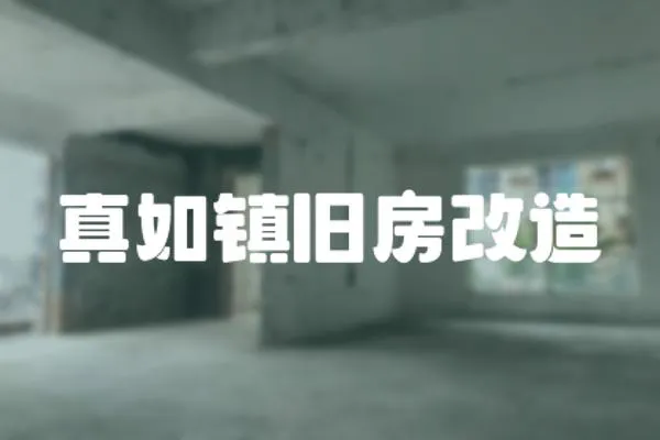 真如鎮舊房改造