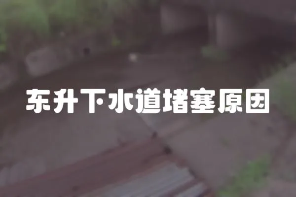 東升下水道堵塞原因