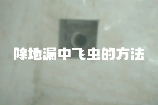 除地漏中飛蟲的方法