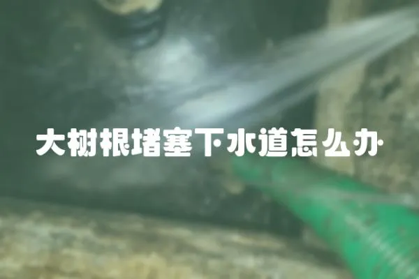 大樹根堵塞下水道怎么辦