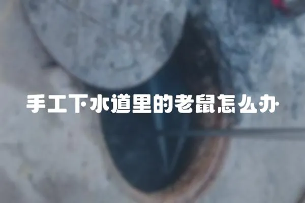 手工下水道里的老鼠怎么辦