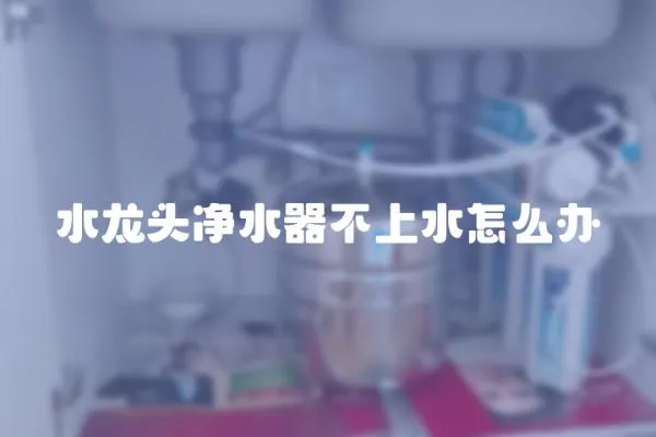 水龍頭凈水器不上水怎么辦