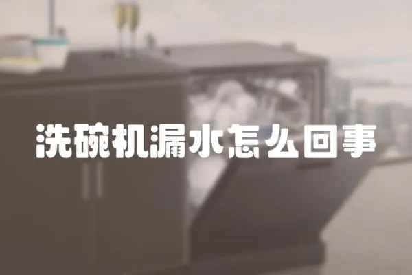 洗碗機漏水怎么回事