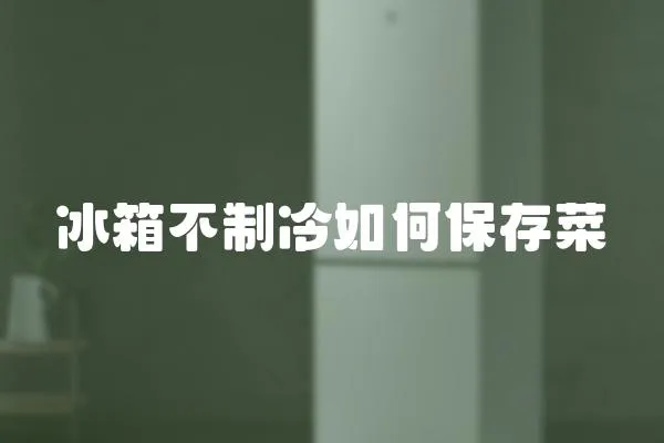 冰箱不制冷如何保存菜