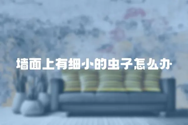 墻面上有細小的蟲子怎么辦