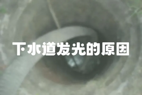 下水道發光的原因
