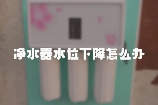 凈水器水位下降怎么辦