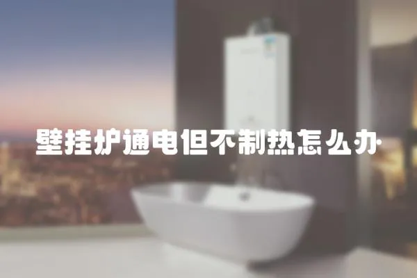 壁掛爐通電但不制熱怎么辦