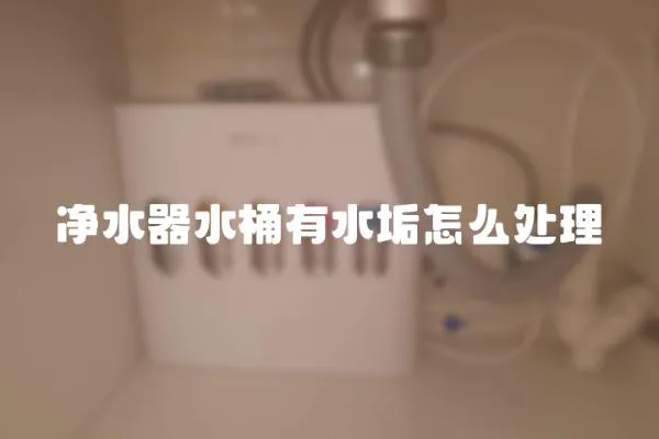 凈水器水桶有水垢怎么處理