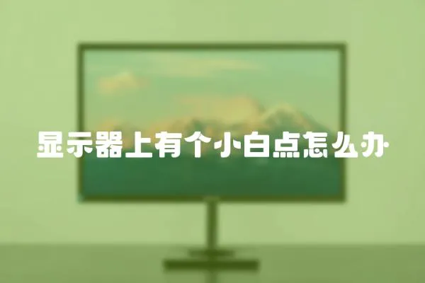 顯示器上有個小白點怎么辦