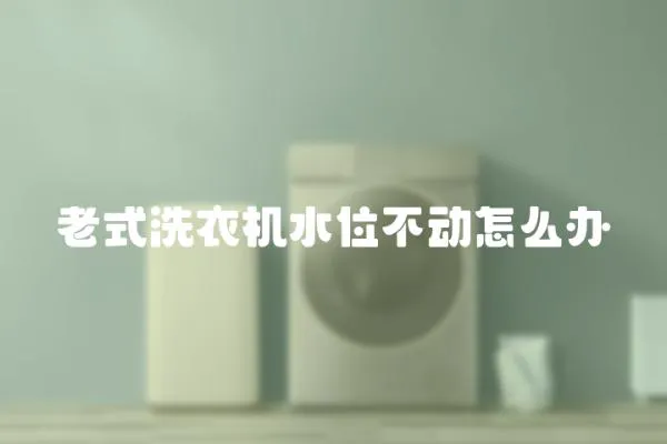 老式洗衣機水位不動怎么辦