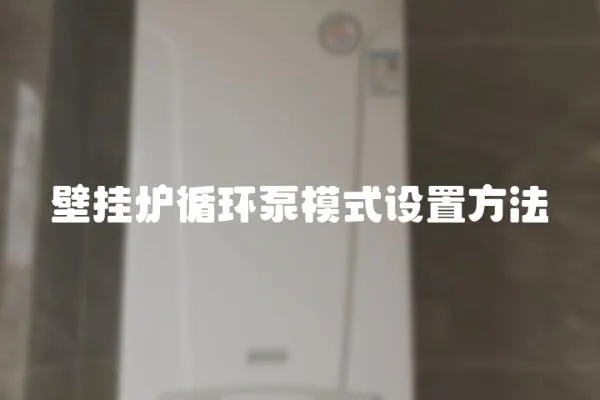壁掛爐循環(huán)泵模式設(shè)置方法