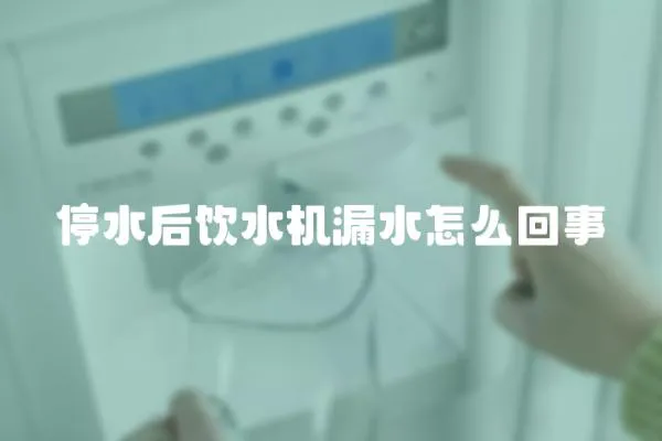 停水后饮水机漏水怎么回事