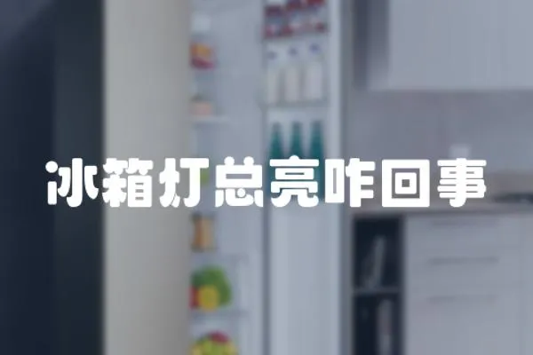 冰箱燈總亮咋回事