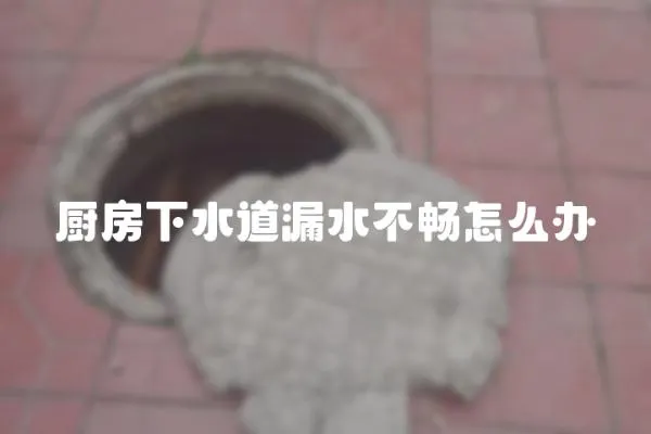 廚房下水道漏水不暢怎么辦