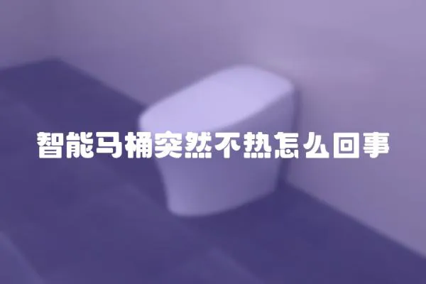 智能馬桶突然不熱怎么回事