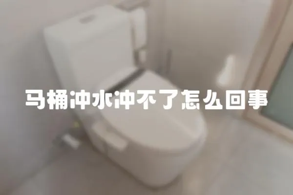 馬桶沖水沖不了怎么回事