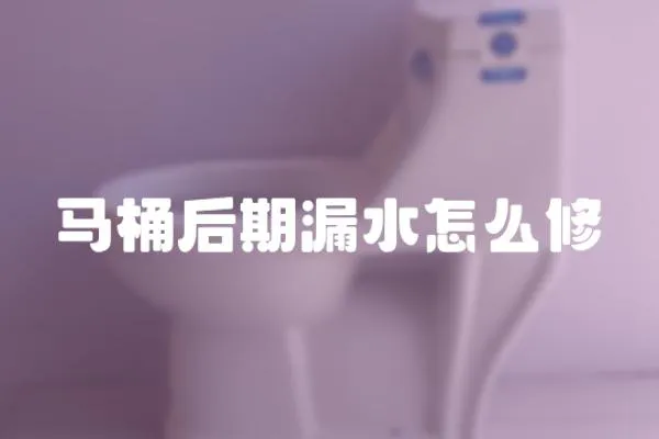 馬桶后期漏水怎么修