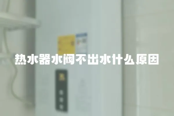 熱水器水閥不出水什么原因