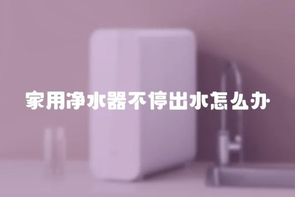 家用凈水器不停出水怎么辦