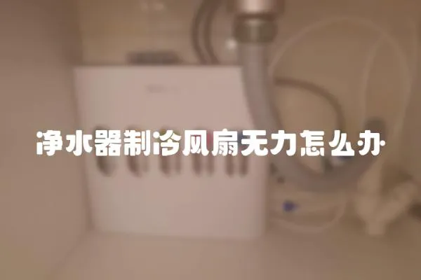 凈水器制冷風扇無力怎么辦