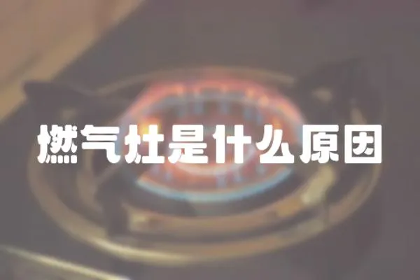 燃氣灶是什么原因