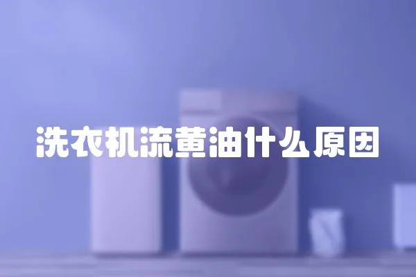 洗衣機流黃油什么原因