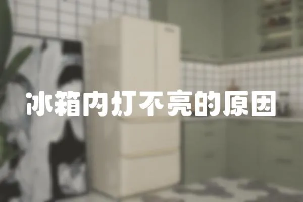冰箱內(nèi)燈不亮的原因