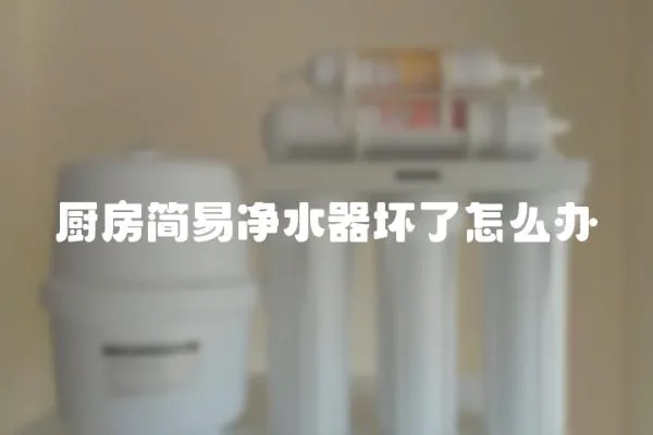 廚房簡易凈水器壞了怎么辦