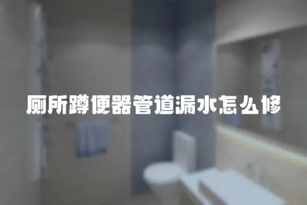 廁所蹲便器管道漏水怎么修