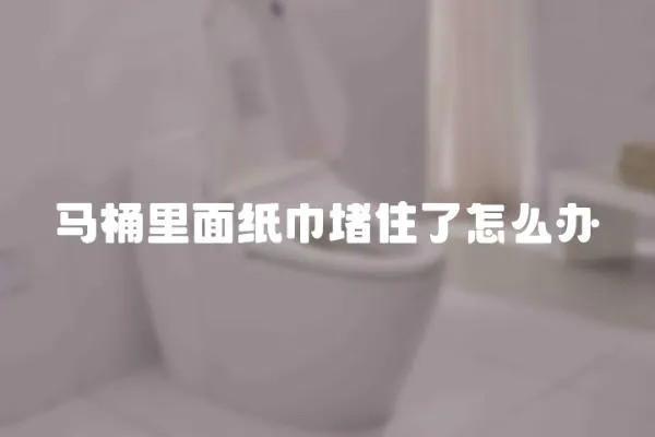 馬桶里面紙巾堵住了怎么辦