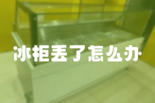 冰柜丟了怎么辦